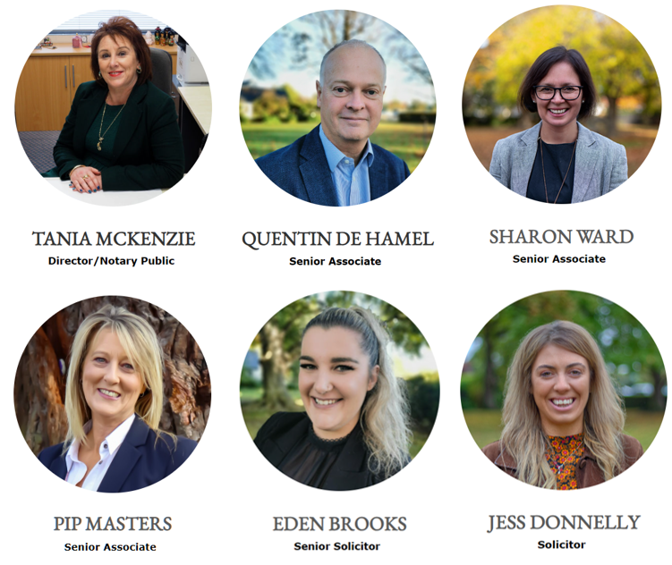 Meet the Team